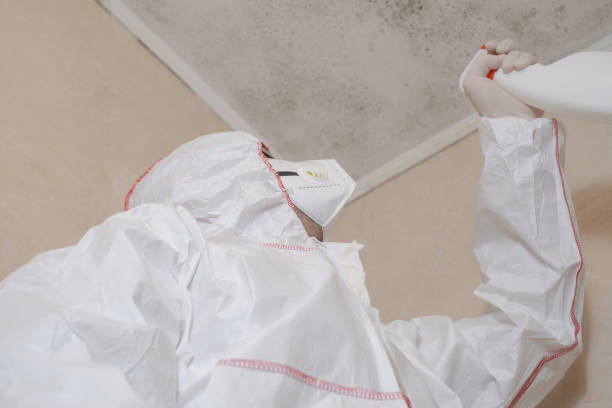 Best Mold Remediation  in Milroy, PA